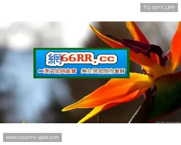 如何顺利进入ag九游官网首页，详细步骤指南与常见问题解答