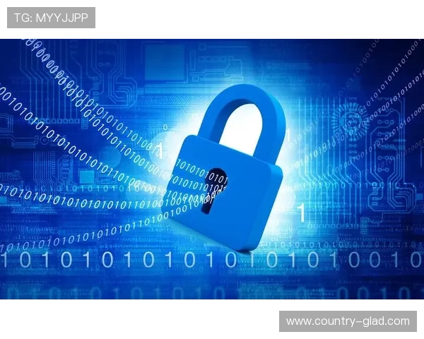 九游体育网页版入口安全保障措施，保障用户账号信息安全与隐私保护